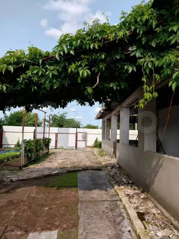 Дом 200 м на участке 15 сот. - Фото 0
