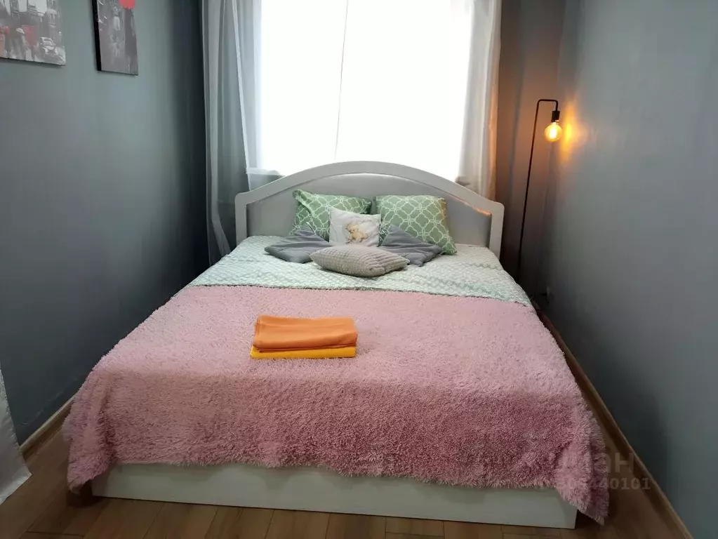 1-к кв. Алтайский край, Барнаул ул. Ползунова, 19 (45.0 м) - Фото 1