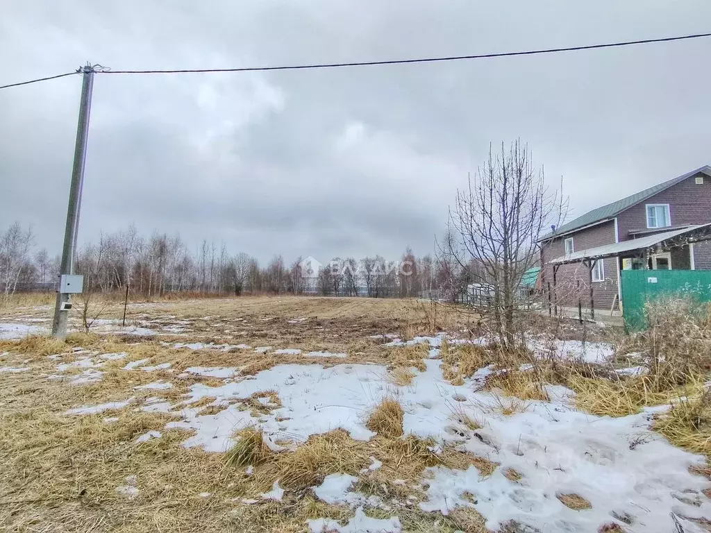 Участок в Московская область, Коломна городской округ, д. Борисово ул. ... - Фото 1