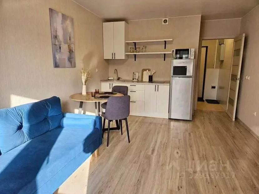 Студия Санкт-Петербург Екатерининский просп., 2 (24.4 м) - Фото 2