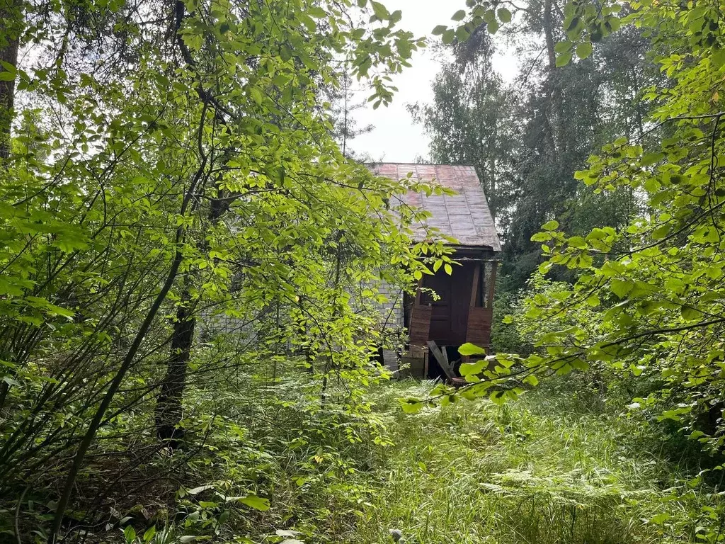 Участок в Ленинградская область, Приозерский район, Сосновское с/пос, ... - Фото 1