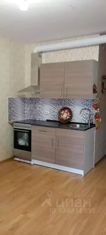 Студия Ленинградская область, Всеволожский район, Колтушское городское ... - Фото 1