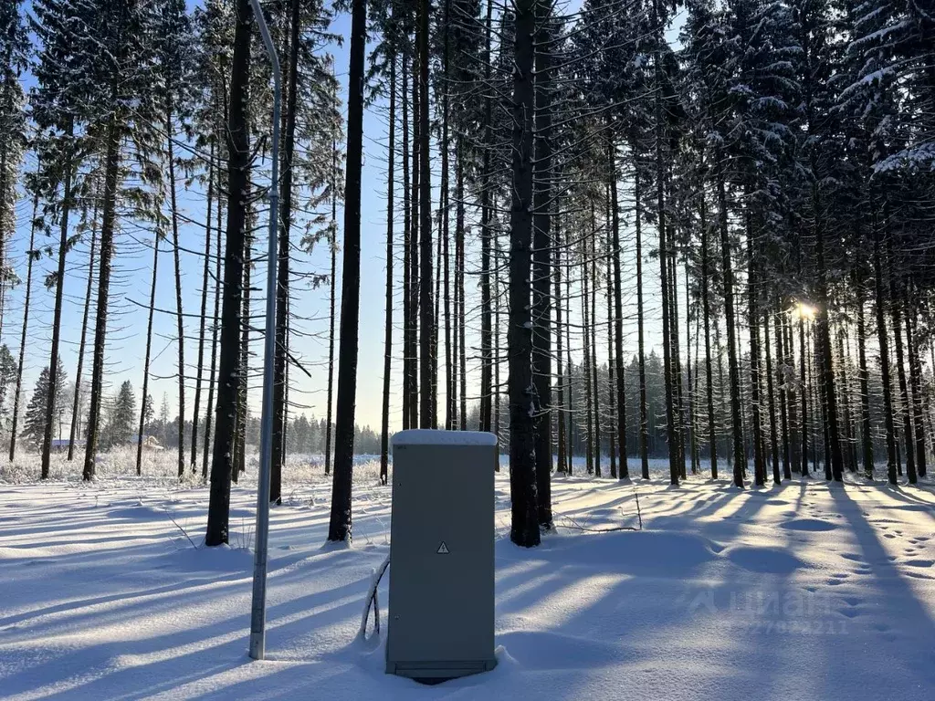 Участок в Московская область, Химки Сходня Форест Парк кп,  (7.5 сот.) - Фото 2