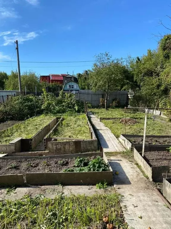 Участок в Московская область, Воскресенск Колыберево-2 СНТ,  (3.0 ... - Фото 1