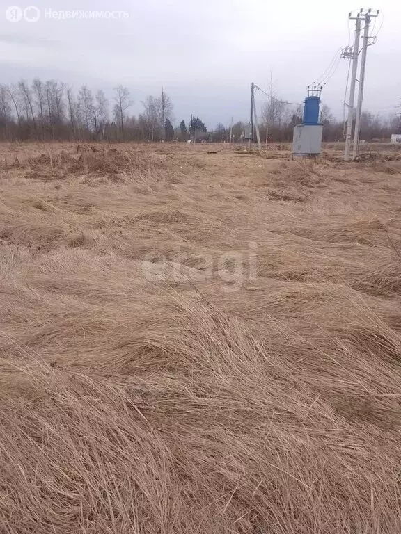 Участок в округ Муром, деревня Александровка, Южная улица (6 м) - Фото 0