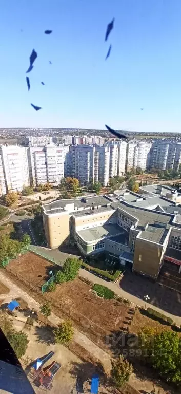 1-к кв. Белгородская область, Белгород ул. Макаренко, 26 (39.6 м) - Фото 0
