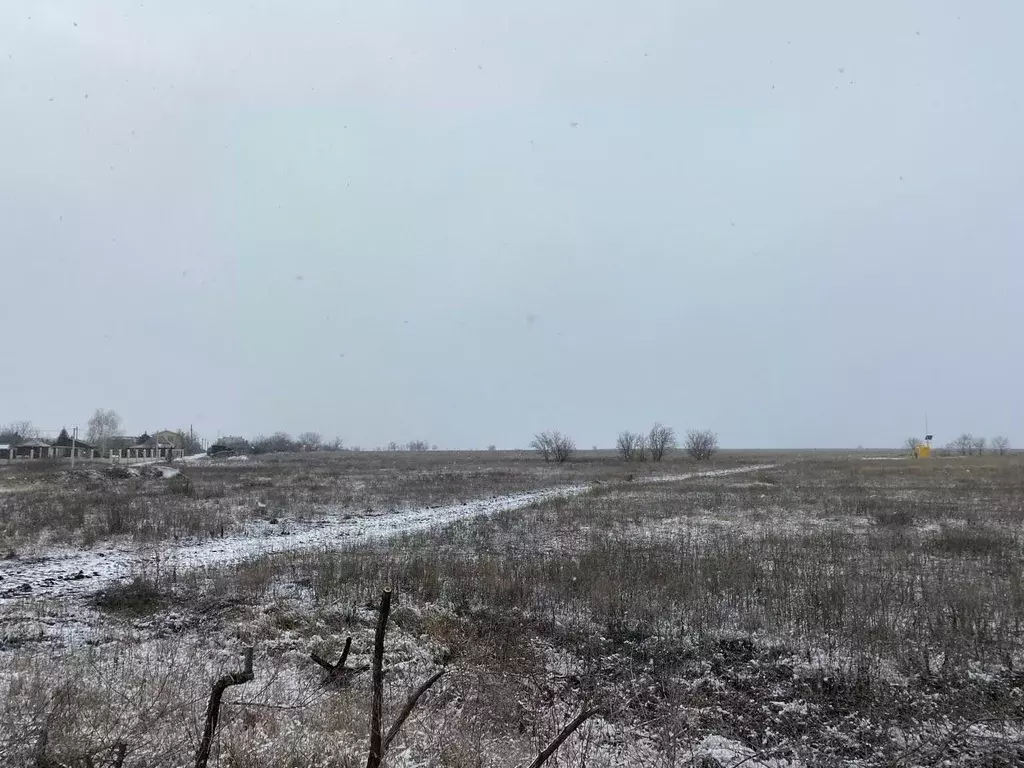 Участок в Волгоградская область, Среднеахтубинский район, Фрунзенское ... - Фото 1