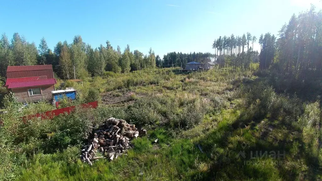 Участок в Ленинградская область, Всеволожск Пироговская ул., 51 (6.0 ... - Фото 2