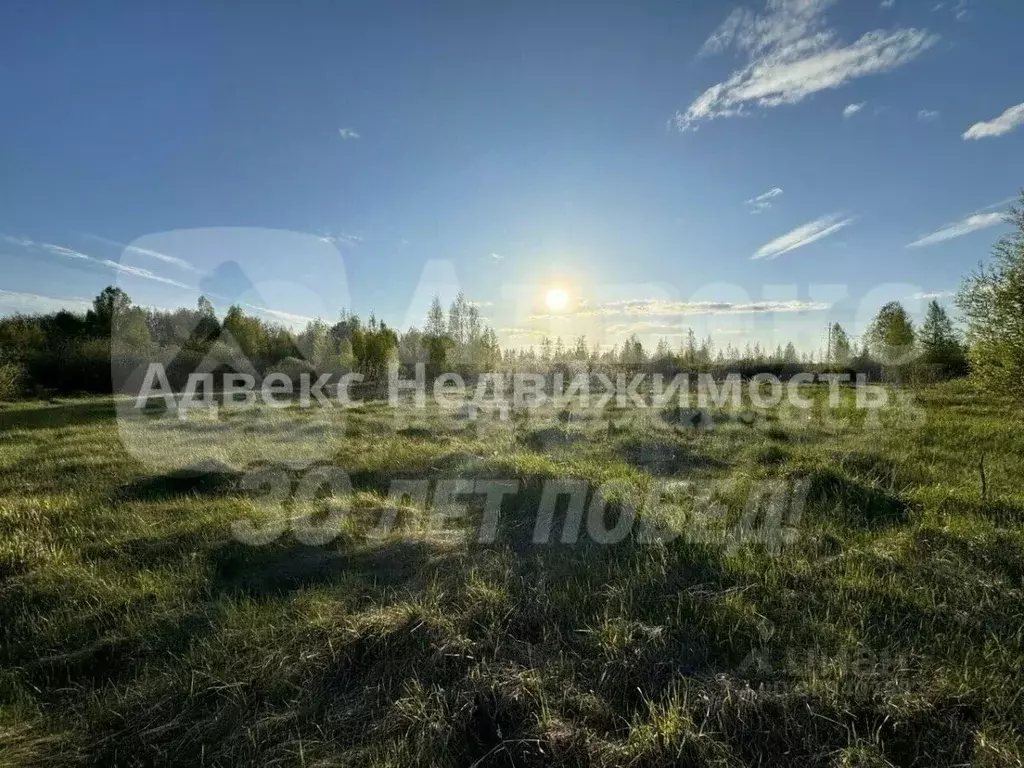 Участок в Тюменская область, Тюменский район, с. Каменка  (6.51 сот.) - Фото 1