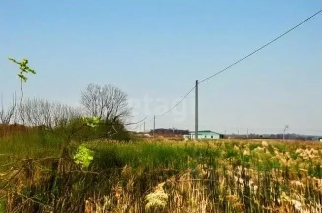 Участок в Калининградская область, Зеленоградский муниципальный округ, ... - Фото 1