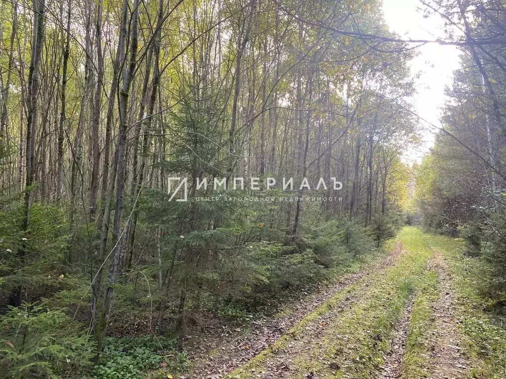 Участок в Калужская область, Жуковский муниципальный округ, Высокиничи ... - Фото 2