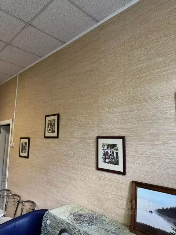 Офис в Новосибирская область, Новосибирск Академгородок мкр, просп. ... - Фото 2