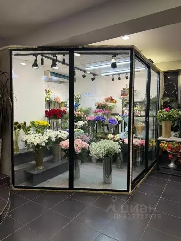 Торговая площадь в Москва Кутузовский просп., 27 (32 м) - Фото 1