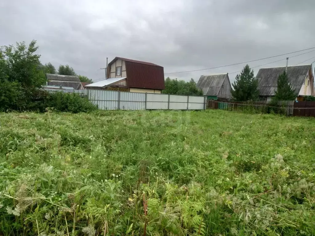 Участок в Новосибирская область, Искитимский район, Мичуринский ... - Фото 2