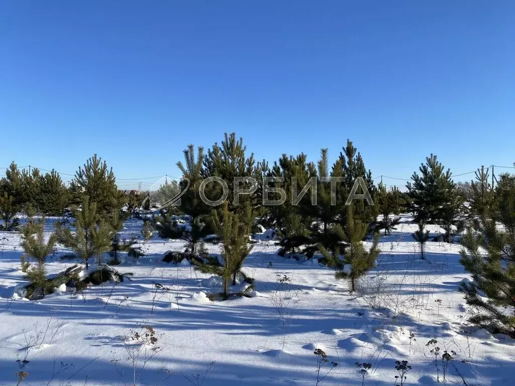 Участок в Тюменская область, Тюменский район, с. Каменка, Подушкино ... - Фото 0