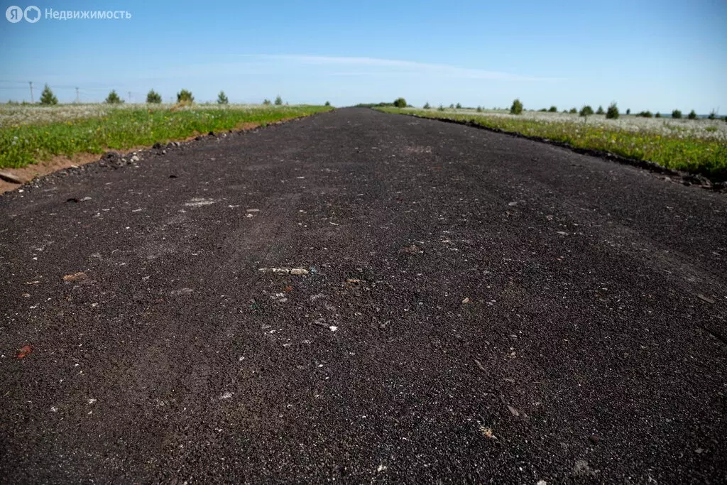 Участок в Завьяловский район, починок Мирный, Дубовая улица, 10 (7 м) - Фото 2