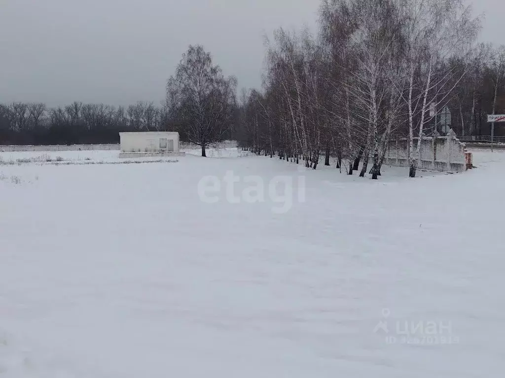 Участок в Белгородская область, Новооскольский муниципальный округ, ... - Фото 1