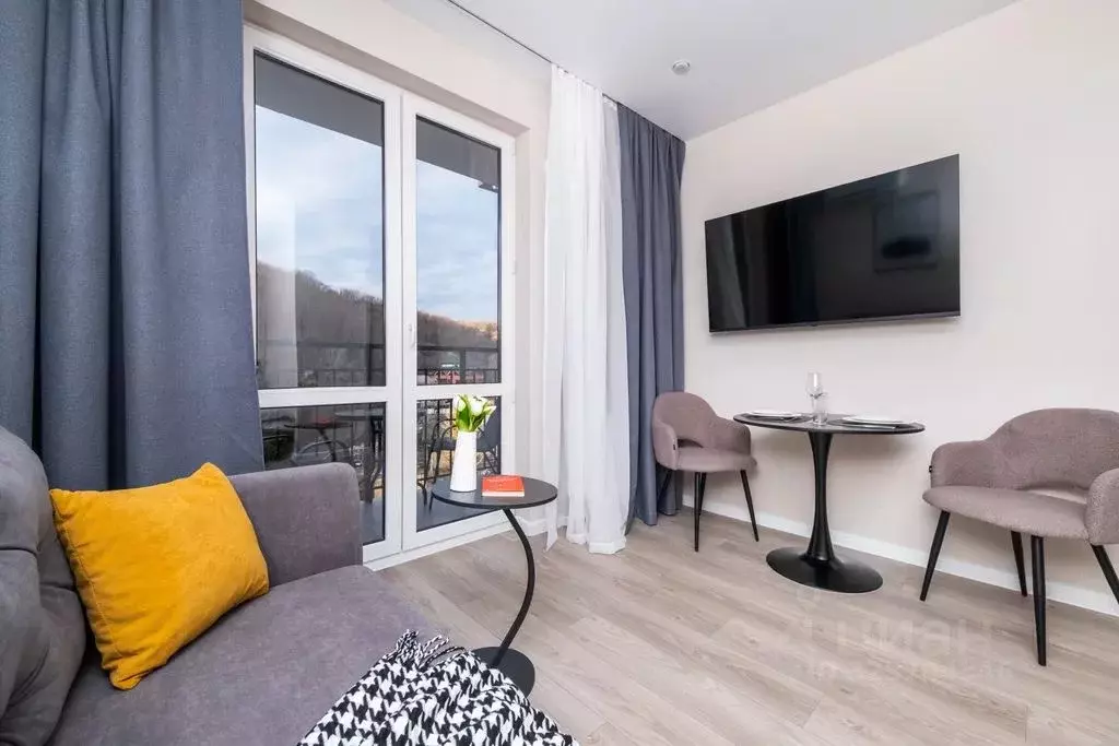 Студия Краснодарский край, Сочи ул. Искры, 88к8 (28.0 м) - Фото 2