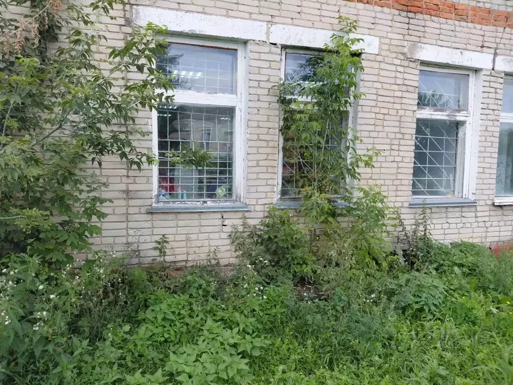 Помещение свободного назначения в Пензенская область, Шемышейский ... - Фото 2