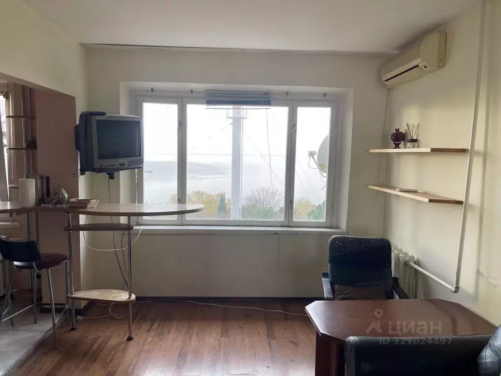 1-к кв. Краснодарский край, Сочи Курортный просп., 100/8 (29.8 м) - Фото 2