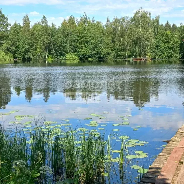 Участок в Ленинградская область, Тосненский район, Шапкинское с/пос, ... - Фото 1