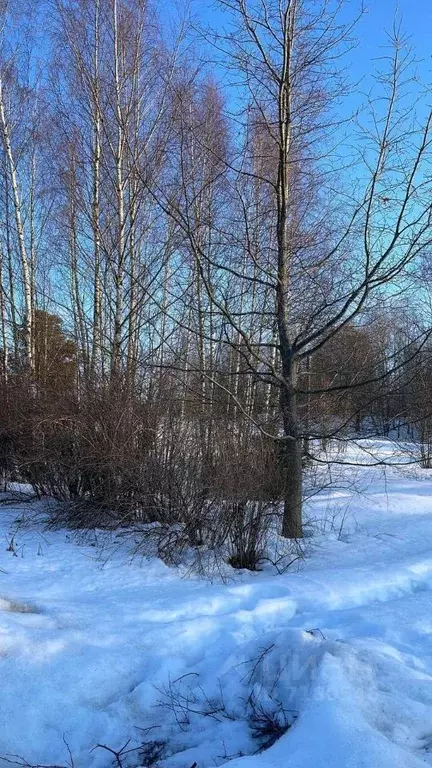 Участок в Московская область, Одинцовский городской округ, д. Дарьино  ... - Фото 0