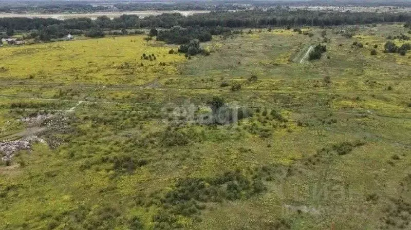 Участок в Калининградская область, Зеленоградский муниципальный округ, ... - Фото 1