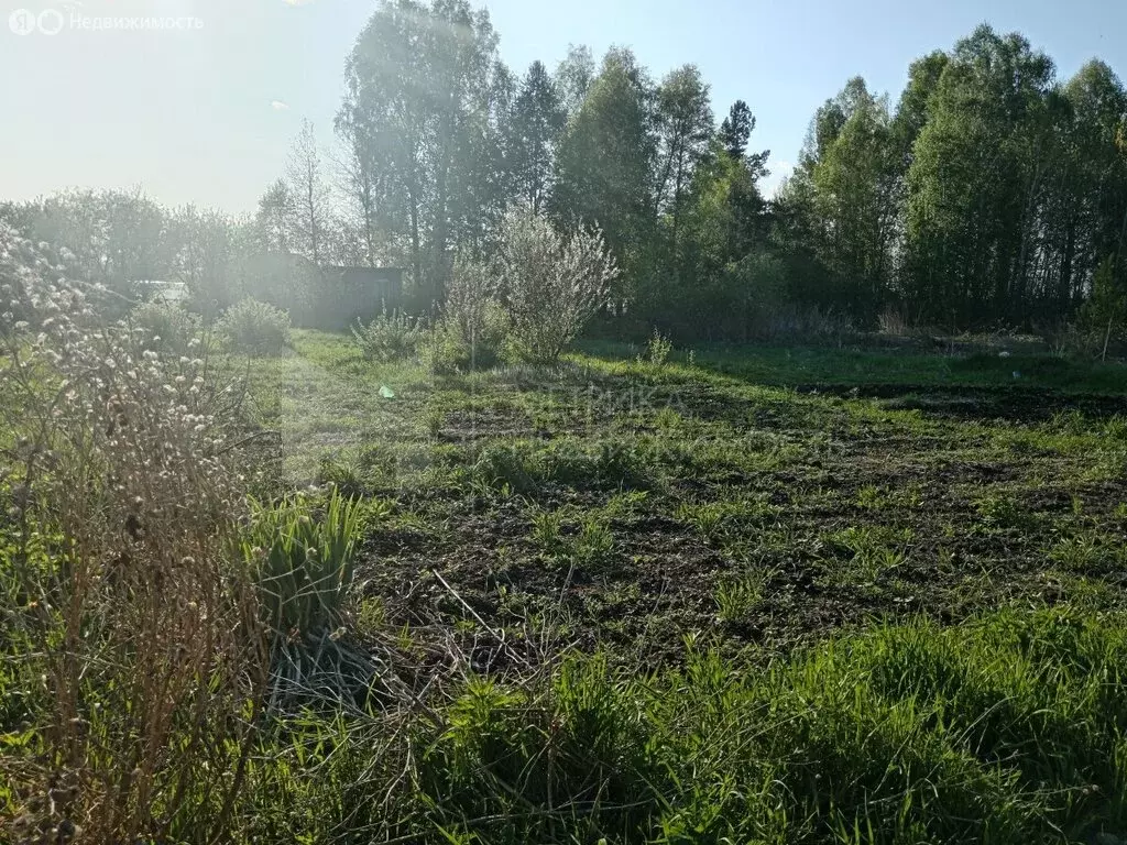 Участок в Тюмень, СНТ Ясень, Четвёртая улица (10 м) - Фото 1