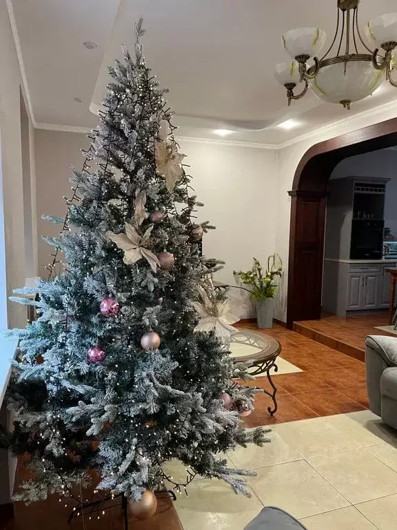 Дом в Калининградская область, Калининград ул. Старшины Дадаева, 29 ... - Фото 2