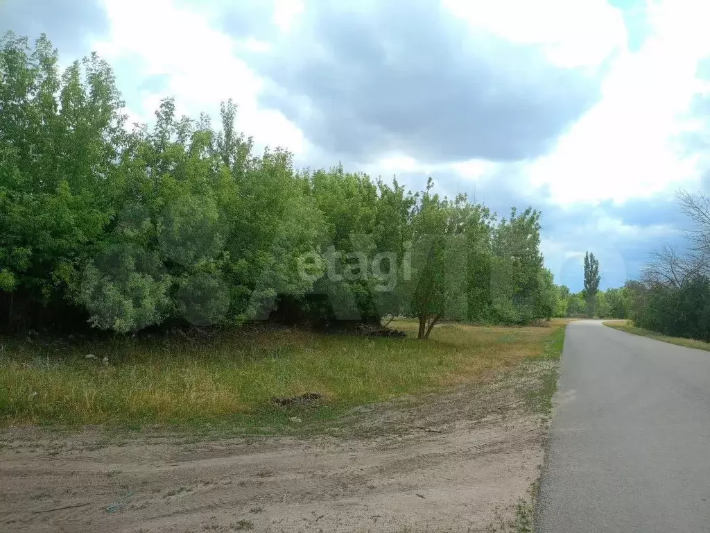 Участок 52,6 сот. (СНТ, ДНП) - Фото 1