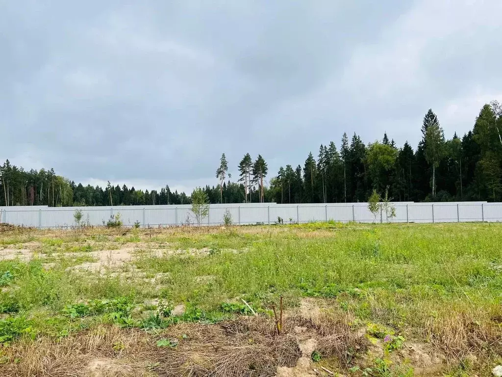 Участок в Московская область, Клин городской округ, Коськово кп 48 ... - Фото 1