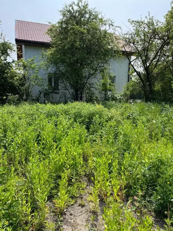 Участок в Калининградская область, Калининград Золотой Петушок ДНТ, ... - Фото 1