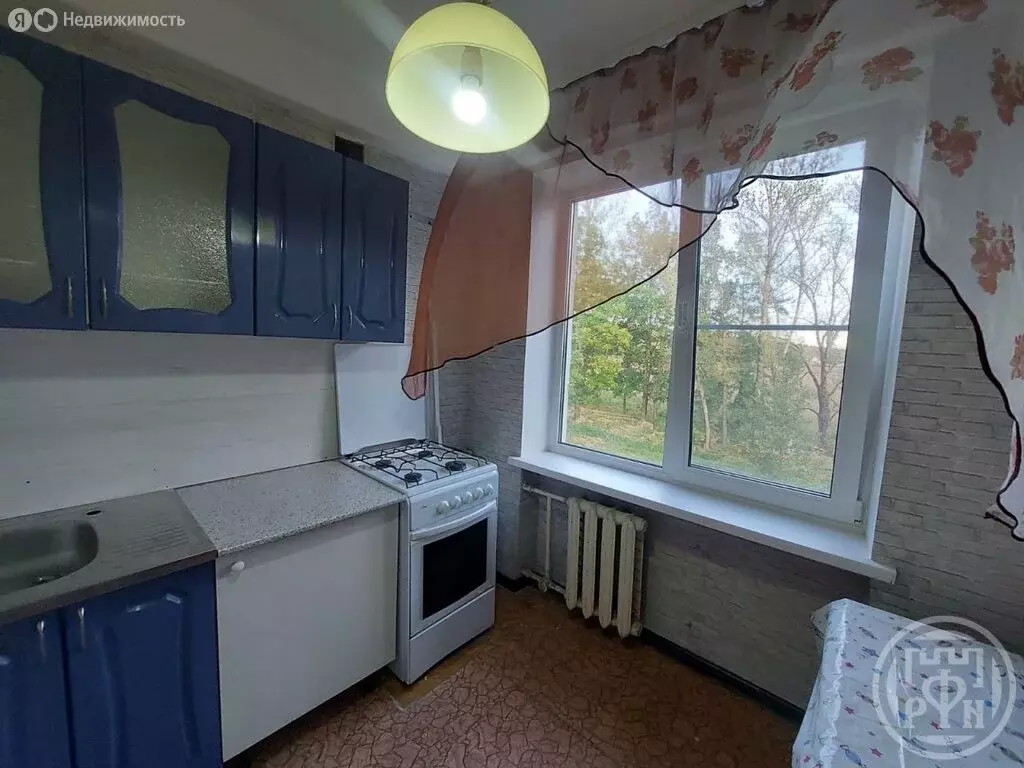 1-комнатная квартира: Русско-Высоцкое, 6 (30.2 м) - Фото 1