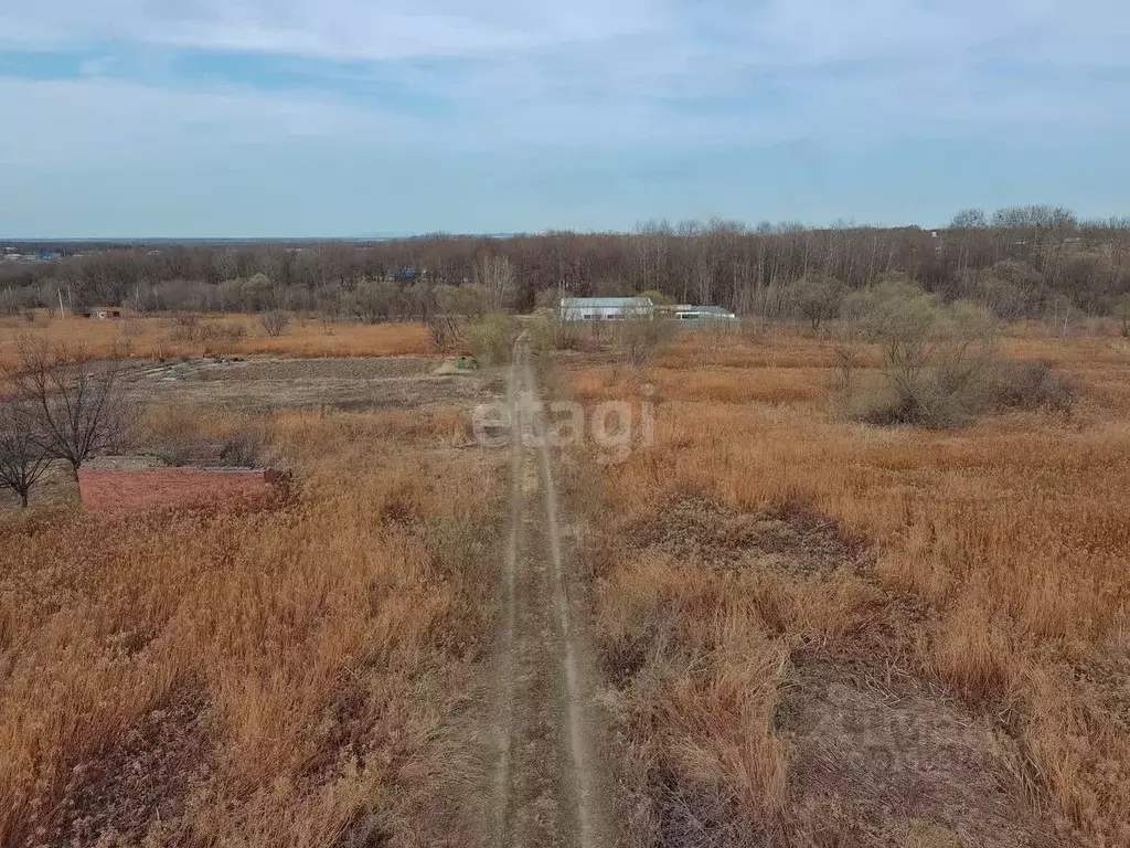 Участок в Хабаровский край, Хабаровский район, с. Краснореченское, ... - Фото 1