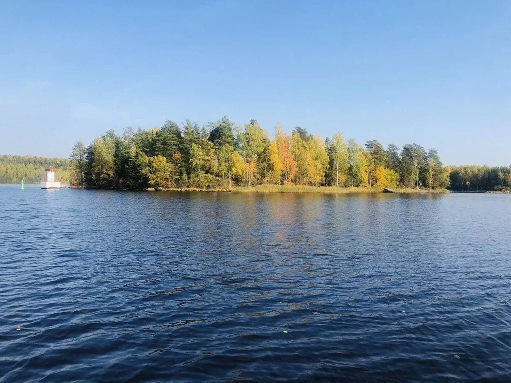 Участок, 12 сот., поселения (ижс) - Фото 1