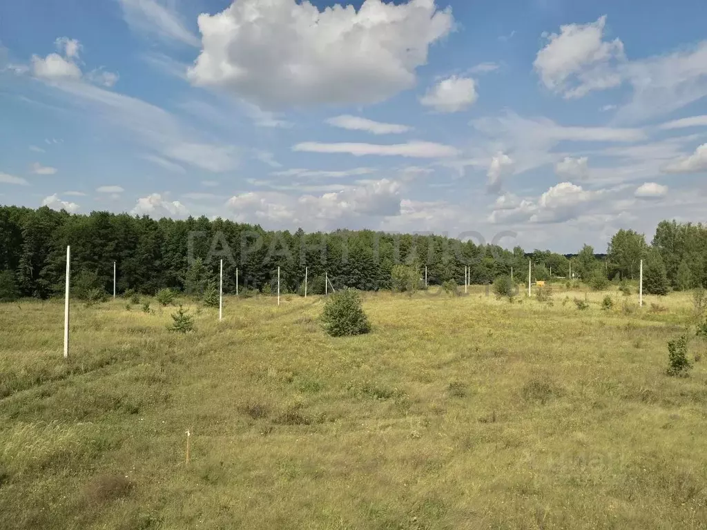 Участок в Липецкая область, Добровский муниципальный округ, с. ... - Фото 2