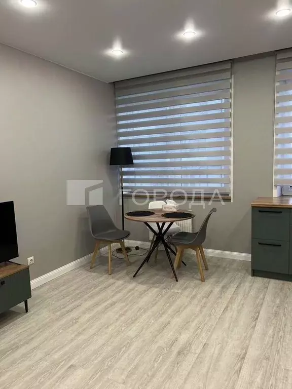 Студия Новосибирская область, Новосибирск Выборная ул., 133 (27.0 м) - Фото 0