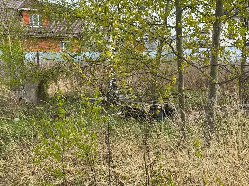 Участок в Московская область, Богородский городской округ, д. Белая ... - Фото 0