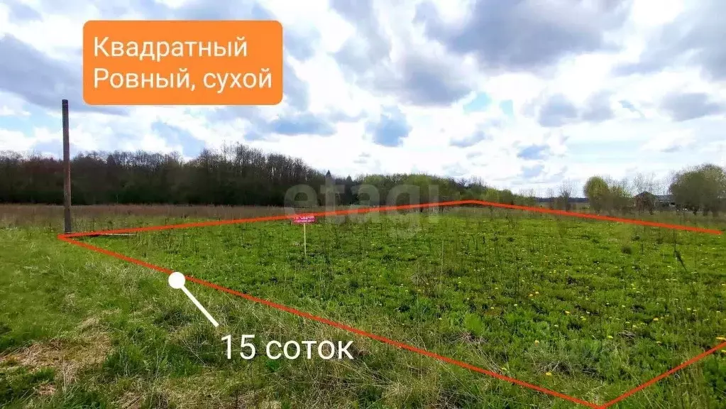 Участок в Ленинградская область, Волосовский район, Калитинское с/пос, ... - Фото 0
