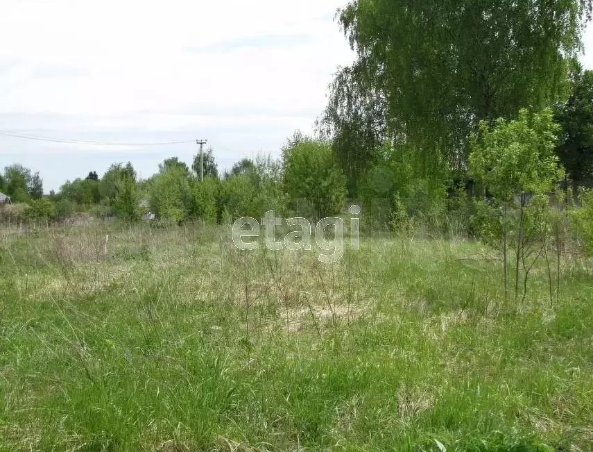 Участок 6 сот. (СНТ, ДНП) - Фото 1