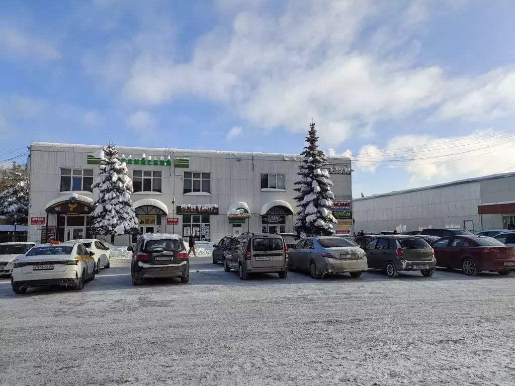 Дом в Московская область, Лосино-Петровский городской округ, ... - Фото 1