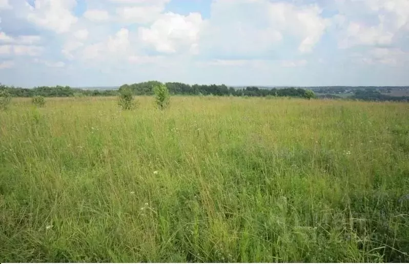Участок в Тульская область, Ясногорский район, Ревякинское с/пос, с. ... - Фото 1