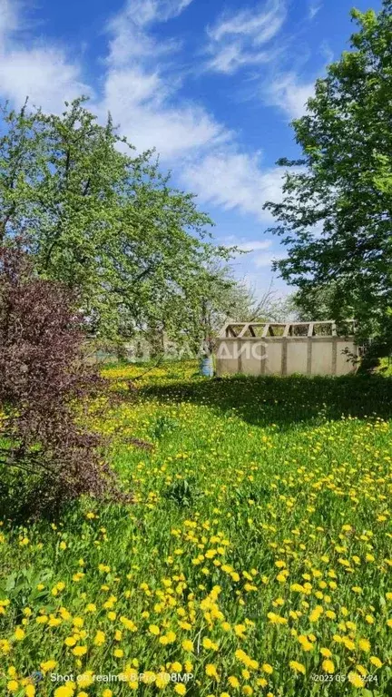 Участок в Владимирская область, Суздальский район, Селецкое ... - Фото 1