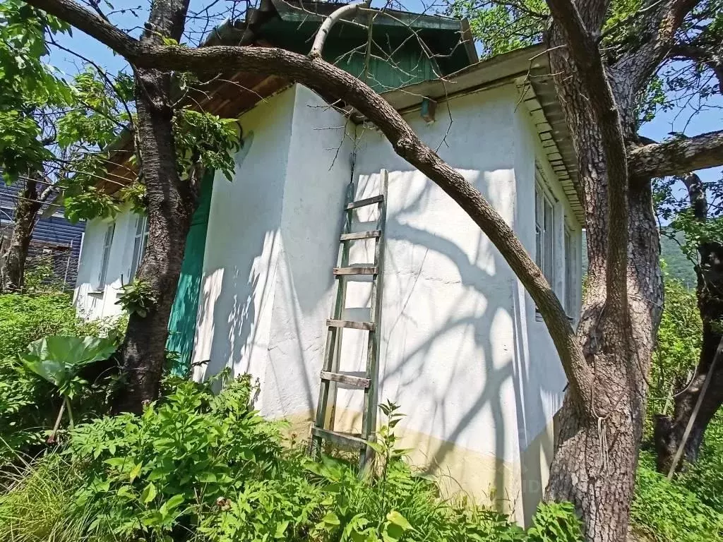 Дом в Краснодарский край, Туапсинский муниципальный округ, с. Красное, ... - Фото 1