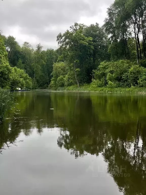 Участок в Тульская область, Заокский район, Малаховское с/пос, Нова ... - Фото 1
