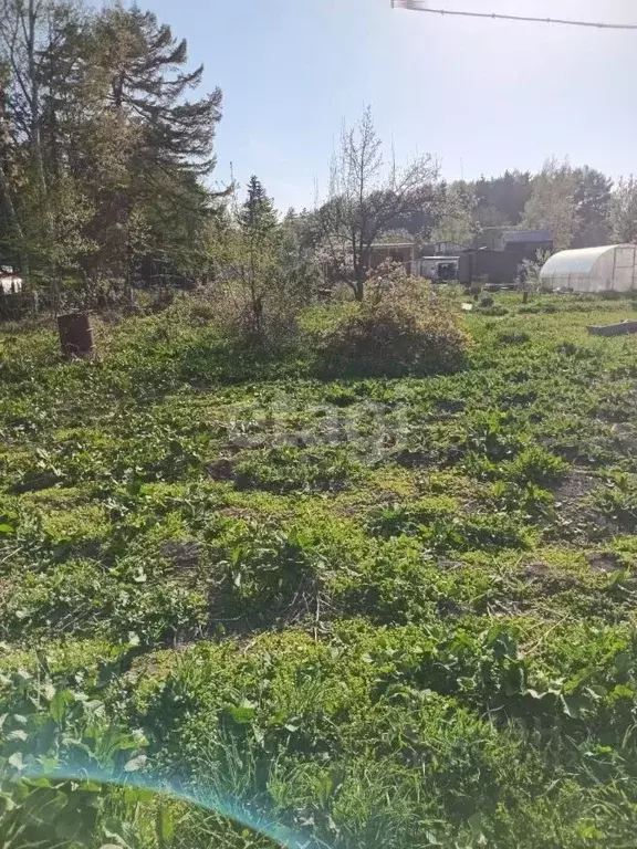 Участок в Сахалинская область, Южно-Сахалинск  (7.94 сот.) - Фото 1