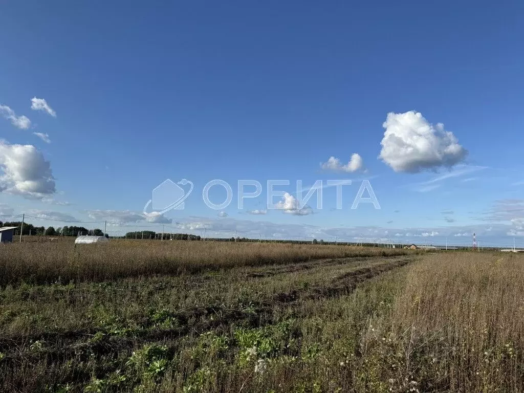 участок в тюменская область, тюменский район, д. большие акияры (8.92 . - Фото 1