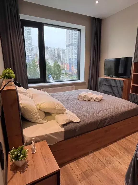 Студия Санкт-Петербург просп. Энергетиков, 8к2 (25.0 м) - Фото 2