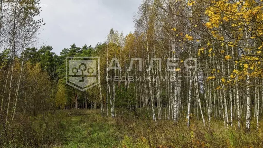 Дом в Московская область, муниципальный округ Истра, село Павловская ... - Фото 0
