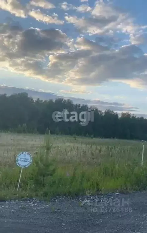 Участок в Амурская область, Благовещенский район, с. Владимировка  ... - Фото 0